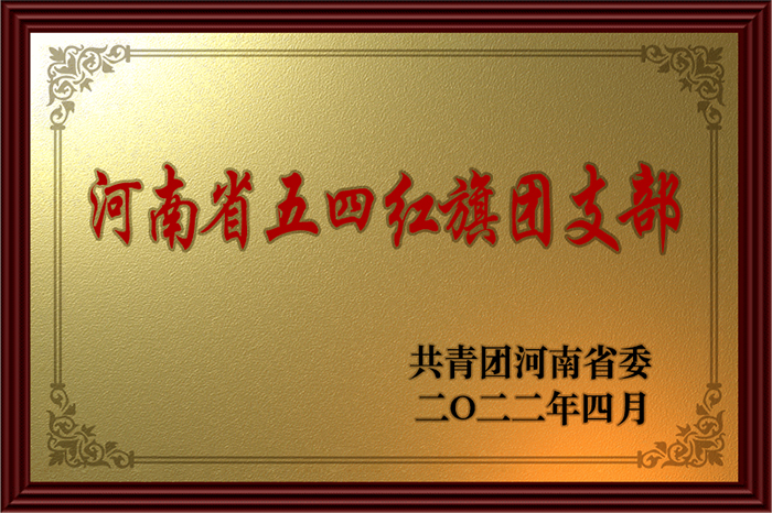 河南省五四红旗团支部